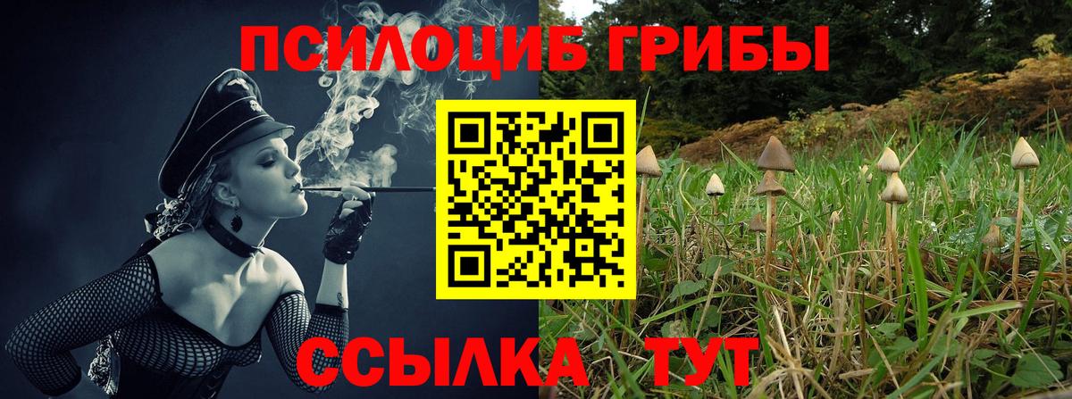 Владимир  Псилоцибиновые грибы ЛСД  Вход с VPN 