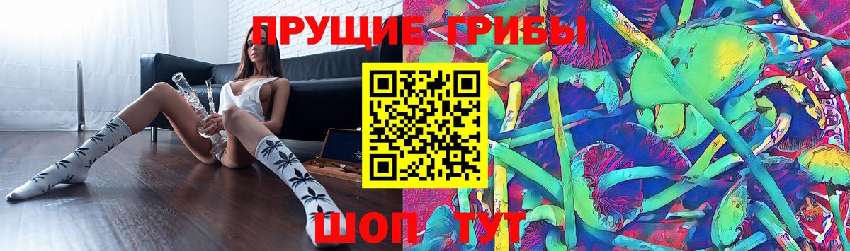 Псилоцибиновые грибы Psilocybe Владимир