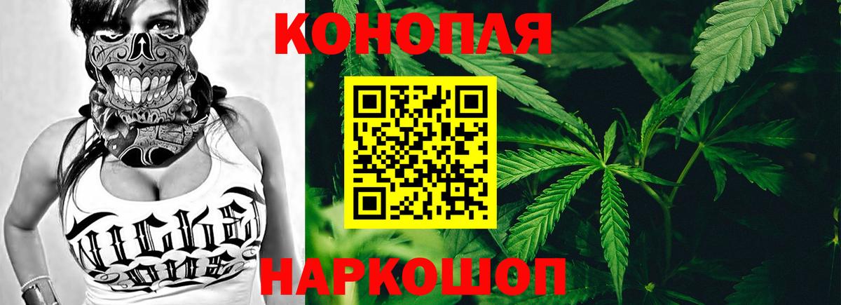 Канабис ГИДРОПОН Владимир