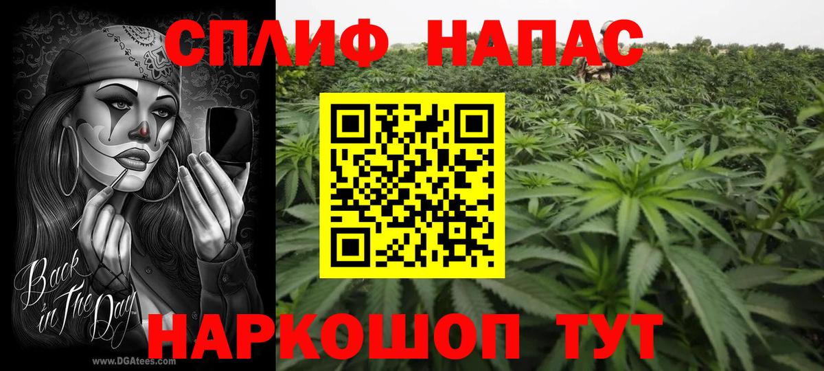 Бошки марихуана гибрид  МАРИХУАНА AK-47  Владимир  Вход с VPN 